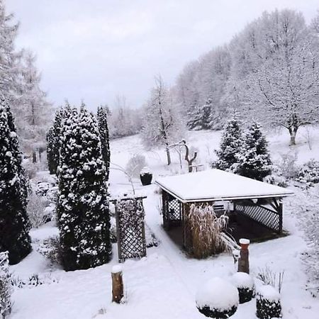 Apartamento Żółty dom Rybnica 33 Exterior foto